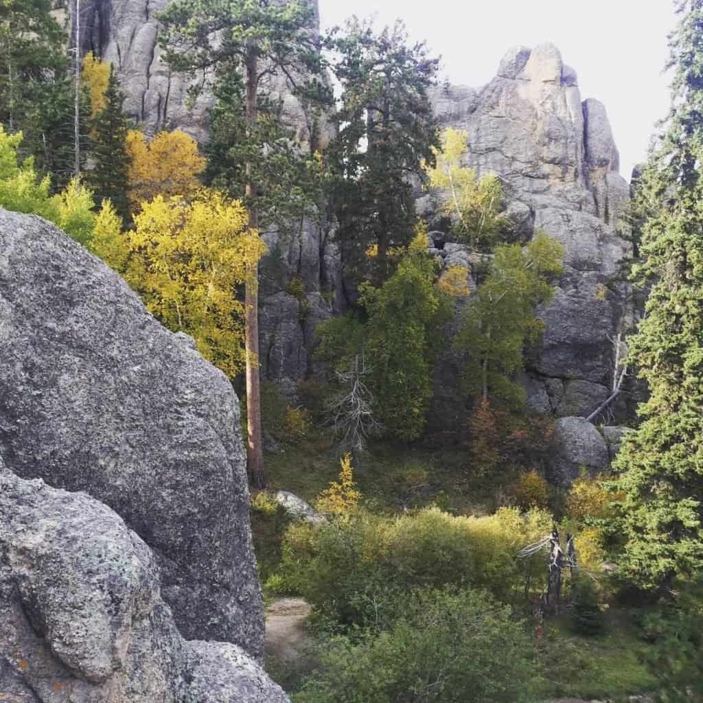Views from Needles Highway located in Custer State Park, South Dakota, something you can plan on seeing for your weekend trip to South Dakota.