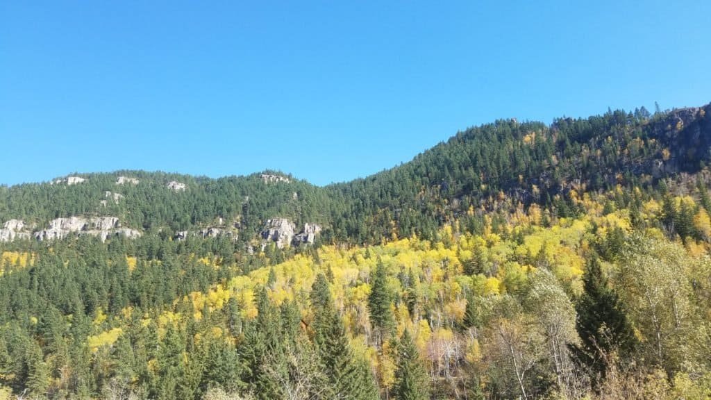 Sweeping mountain views with green and golden trees