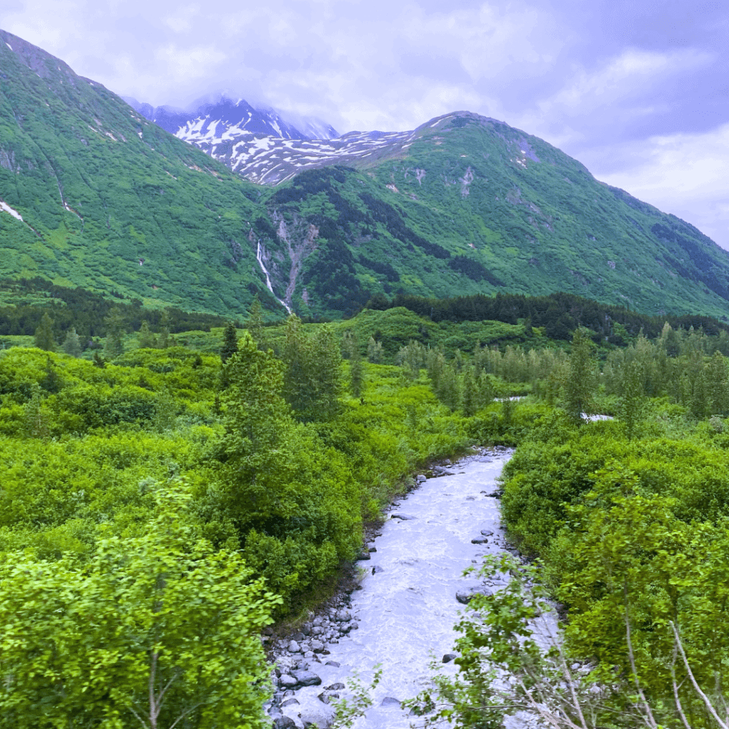 norwegian cruise jewel alaska