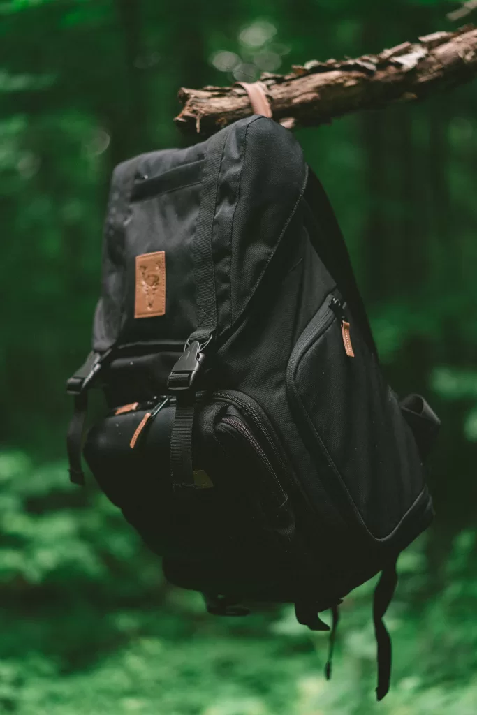 8 Essential Items For Alaska You Need To Pack For Your 2024 Cruise   Backpack In Tree 683x1024.webp