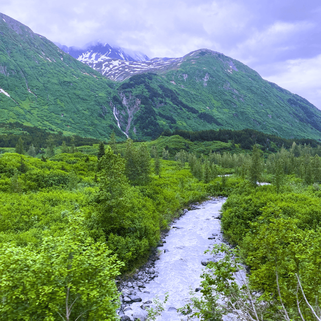 Top Excursions for Alaska Cruise