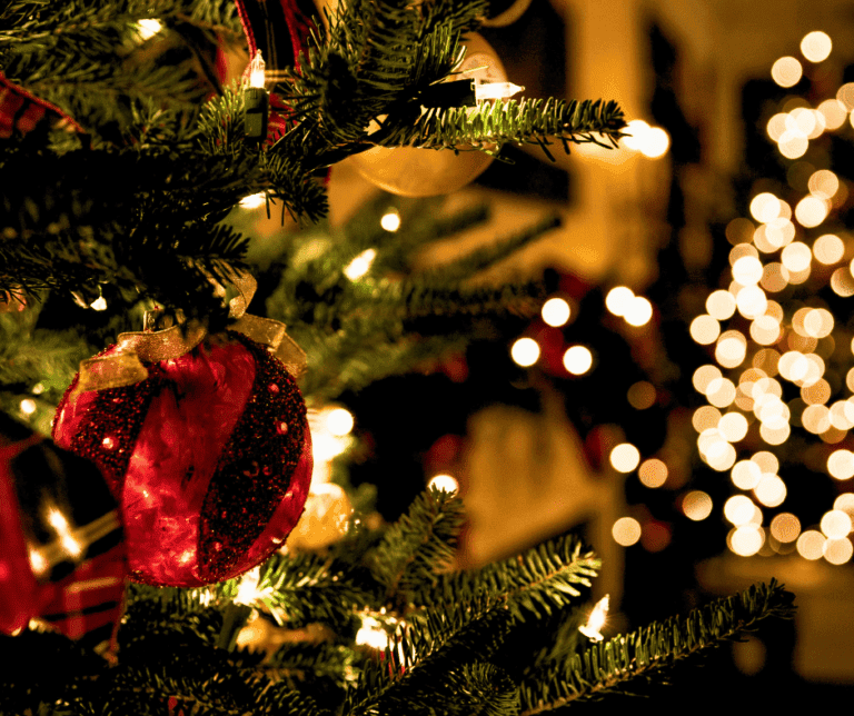 Best Christmas Vacation Destinations Best Christmas Vacation Destinations