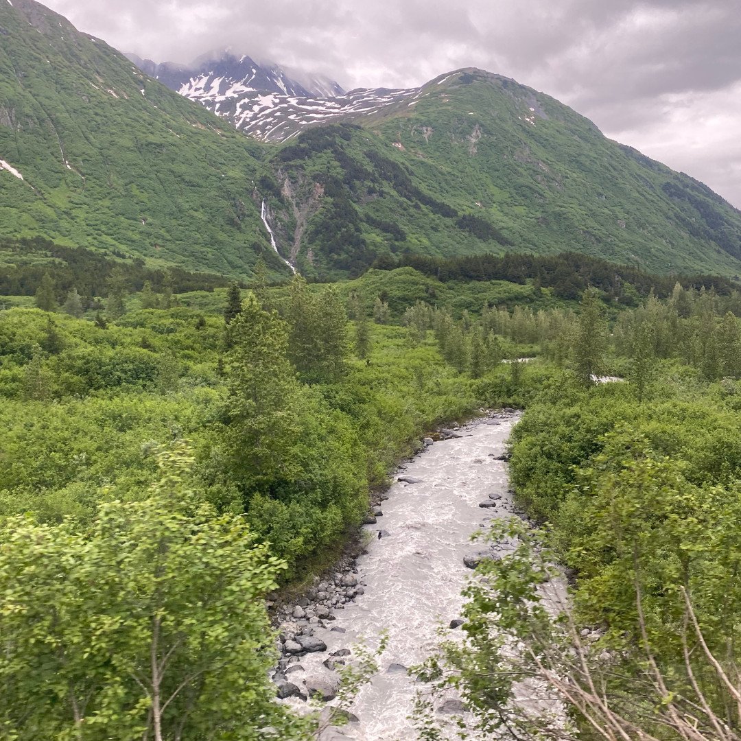 Top Excursions for Alaska Cruise