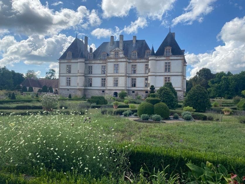 AmaWaterways vs Viking River Cruise: Which One Is Right for You?